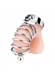 Серебристая клетка для члена Urethral Play Cage - BlueLine - купить с доставкой в Новомосковске