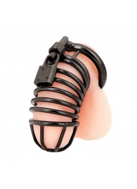 Черная металлическая клетка с замком Deluxe Chastity Cage - BlueLine - купить с доставкой в Новомосковске