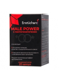 Капсулы для мужчин Erotichard male power с пантогематогеном - 20 капсул (0,370 гр.) - Erotic Hard - купить с доставкой в Новомосковске