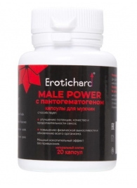 Капсулы для мужчин Erotichard male power с пантогематогеном - 20 капсул (0,370 гр.) - Erotic Hard - купить с доставкой в Новомосковске