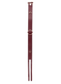 Бордовый ремень Halo Waist Belt - размер L-XL - Shots Media BV - купить с доставкой в Новомосковске