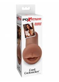 Мастурбатор-ротик Coed Cocksucker - Pipedream - в Новомосковске купить с доставкой