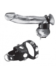 Утяжка для мошонки и пениса Cock Ring With 1  Ball Stretcher And Optional Weight Ring - BlueLine - купить с доставкой в Новомосковске