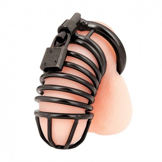 Черная металлическая клетка с замком Deluxe Chastity Cage - BlueLine - купить с доставкой в Новомосковске