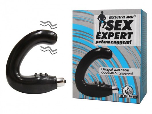 Чёрный массажёр простаты серии Sex Expert - Sex Expert - в Новомосковске купить с доставкой