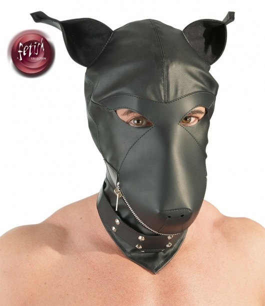 Шлем-маска Dog Mask в виде морды собаки - Orion - купить с доставкой в Новомосковске