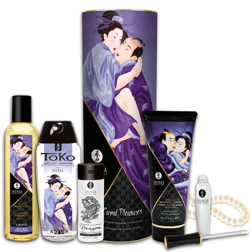 Подарочный набор CARNAL PLEASURES - Shunga - купить с доставкой в Новомосковске